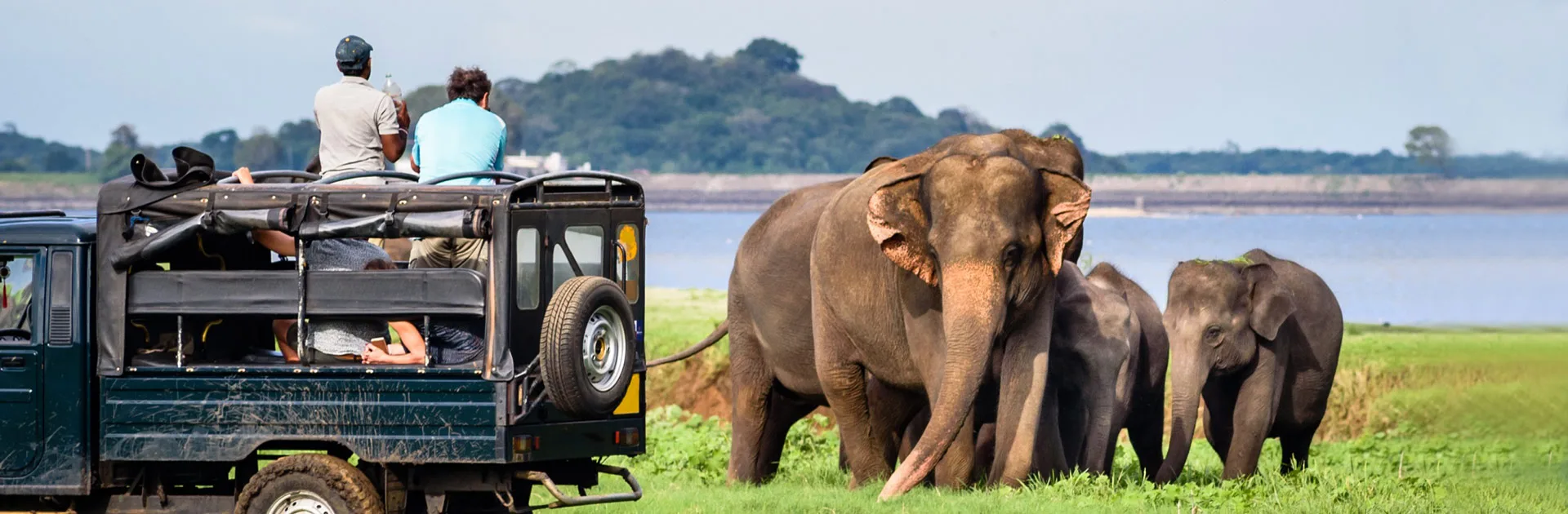 LK Explore Sri Lanka con playas Nordeste 12 días 4