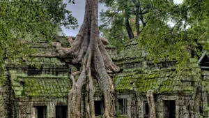Cambodia
