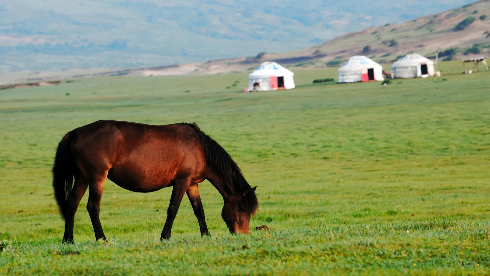 Mongolia