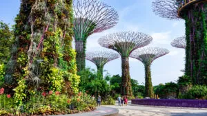 Singapore