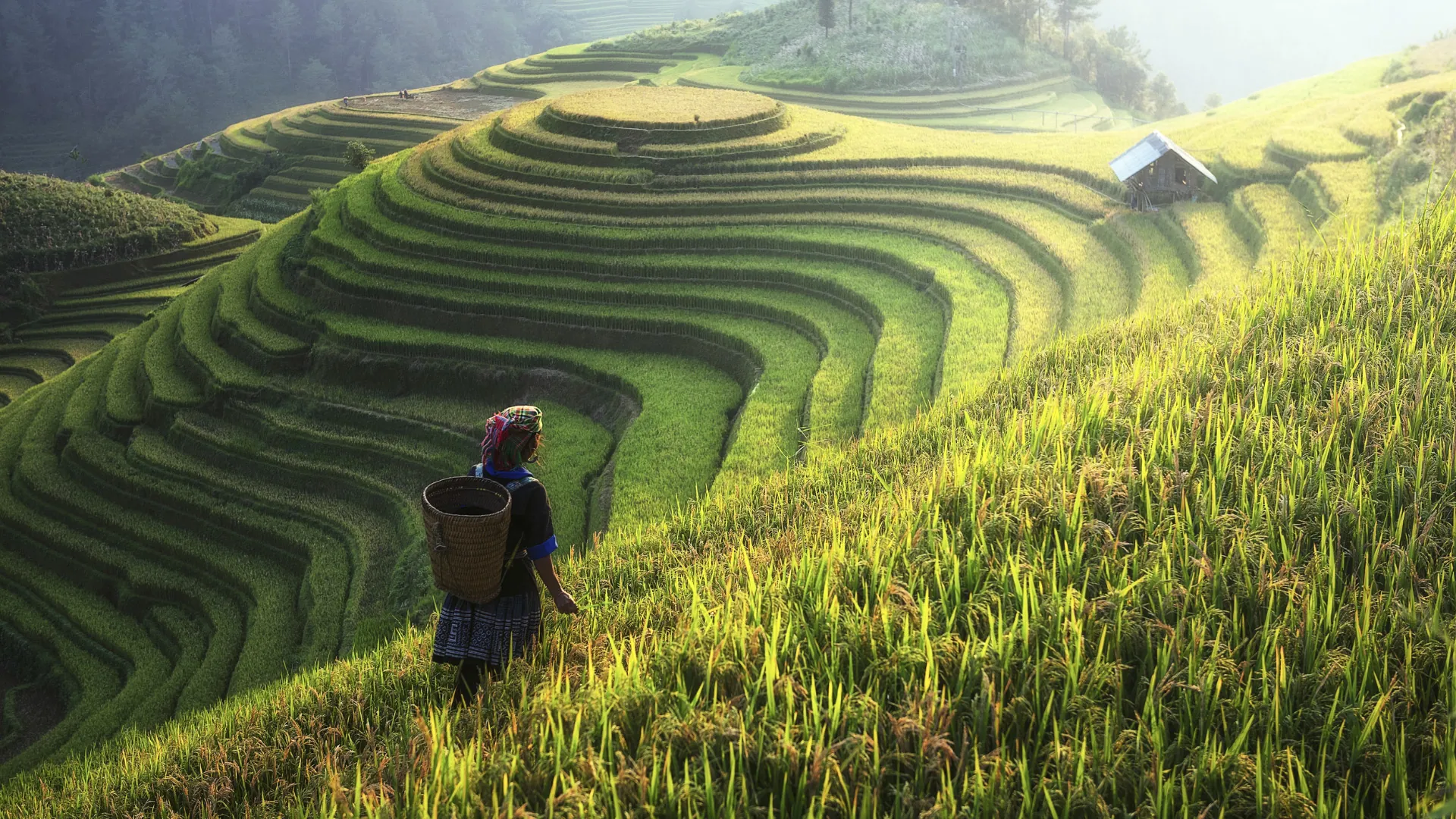 Vietnam