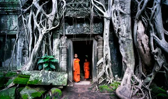 Siem Reap Ta Prohm