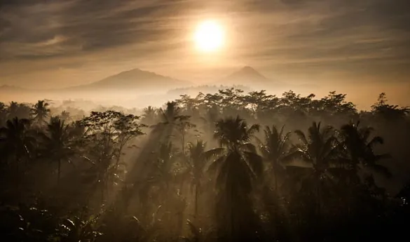 Volcan Java Indonesia