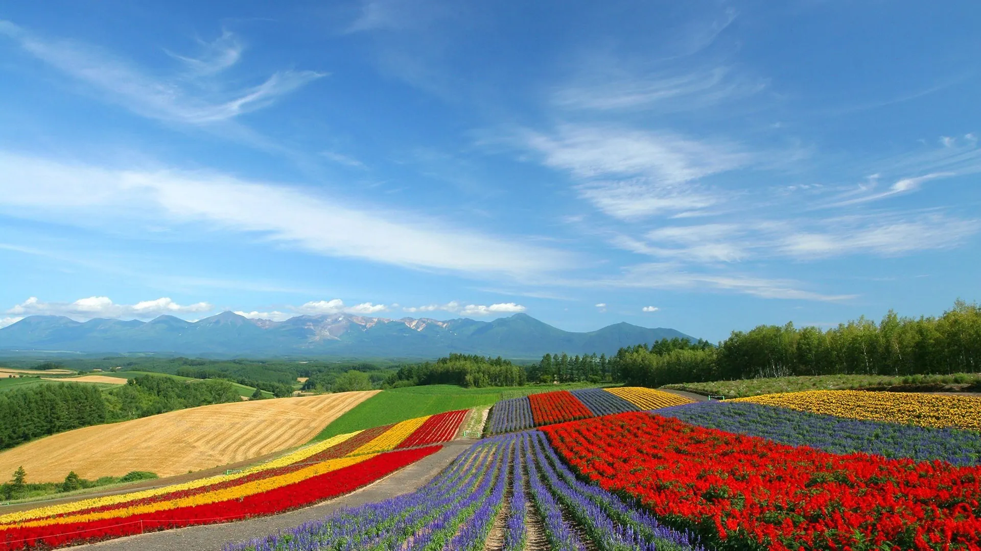 Hokkaido