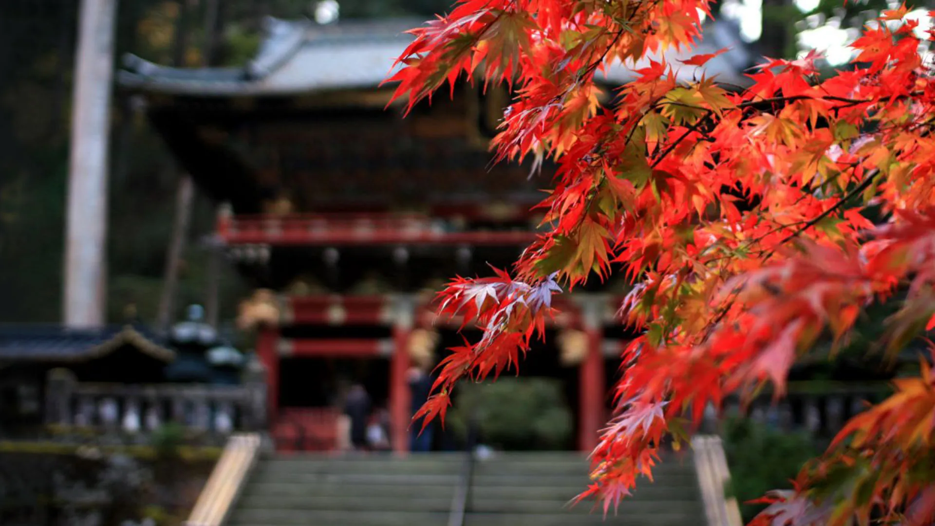 Nikko: Santuarios, Templos y naturaleza en tu viaje a Japón 