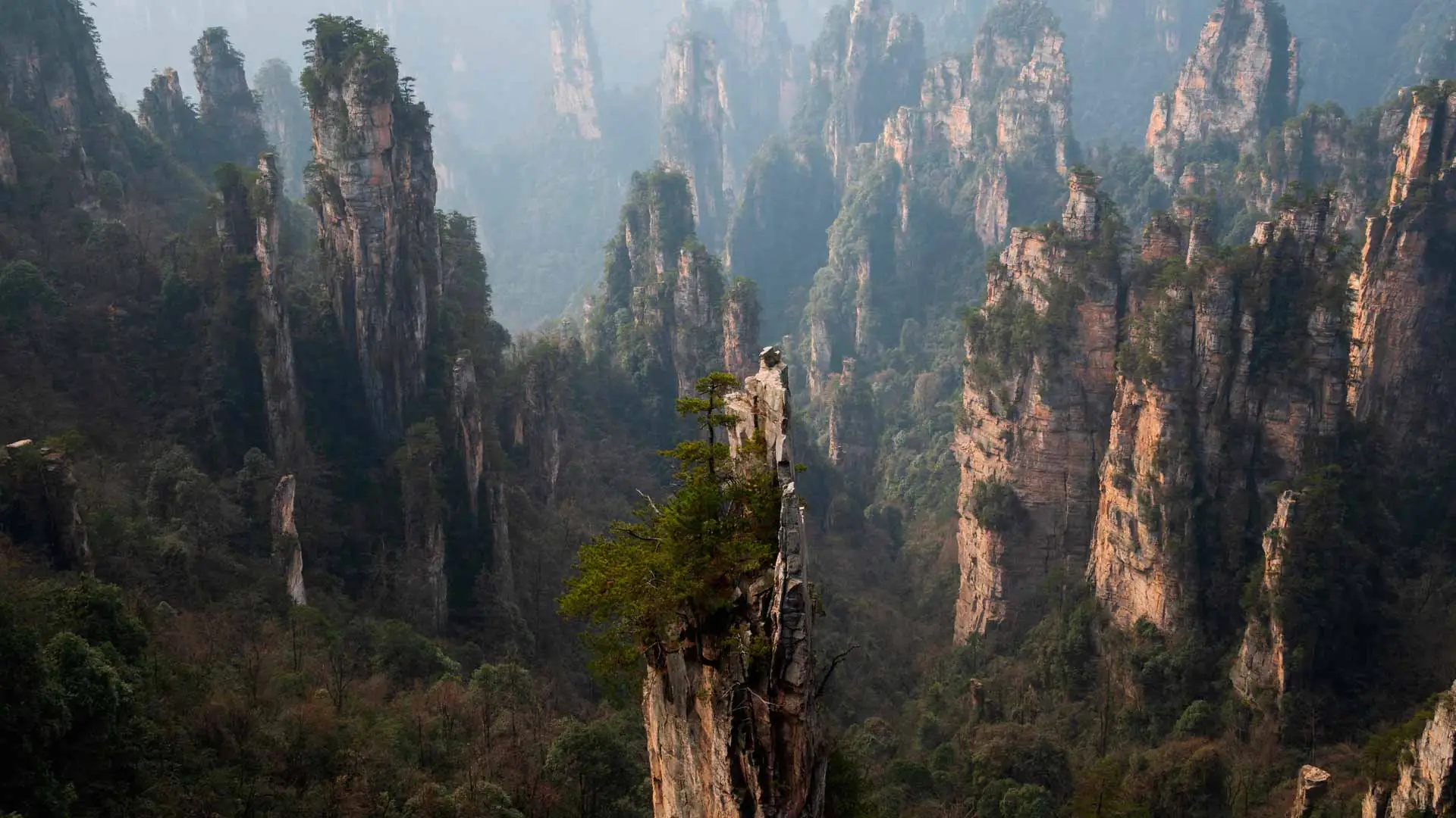 El Parque Nacional de Zhangjiajie es uno de los lugares más especiales en China