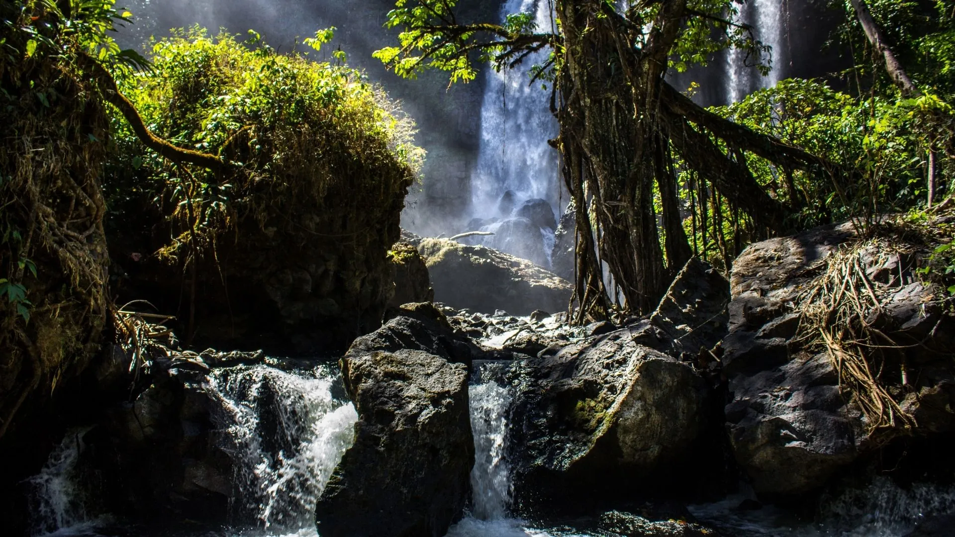 Bolaven Plateau