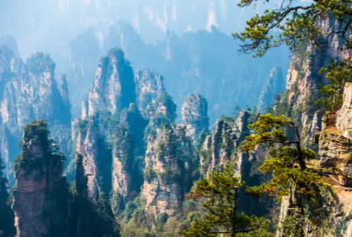 The stone forest