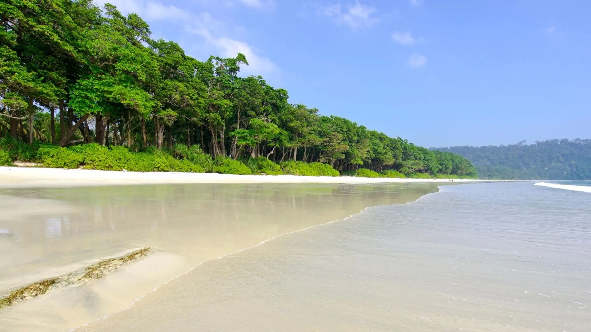 Playa paradisiaca de Asia en Isla Andamán: Havelock