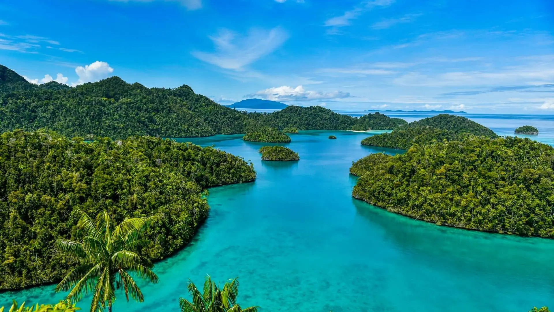 Mejores playas àra visitar en India está La isla de raja Ampat