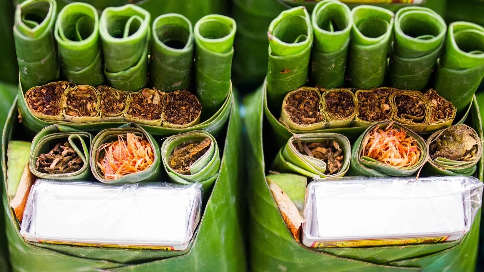 betel o tabaco de Myanmar