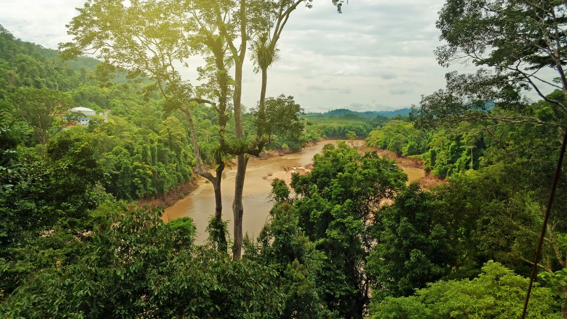 Parque nacional Taman Negara