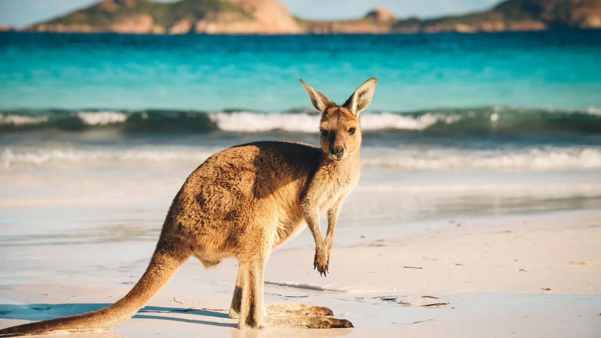 Entre las mejores playas de Asia no podemos olvidar las paradisiacas playas de Australia