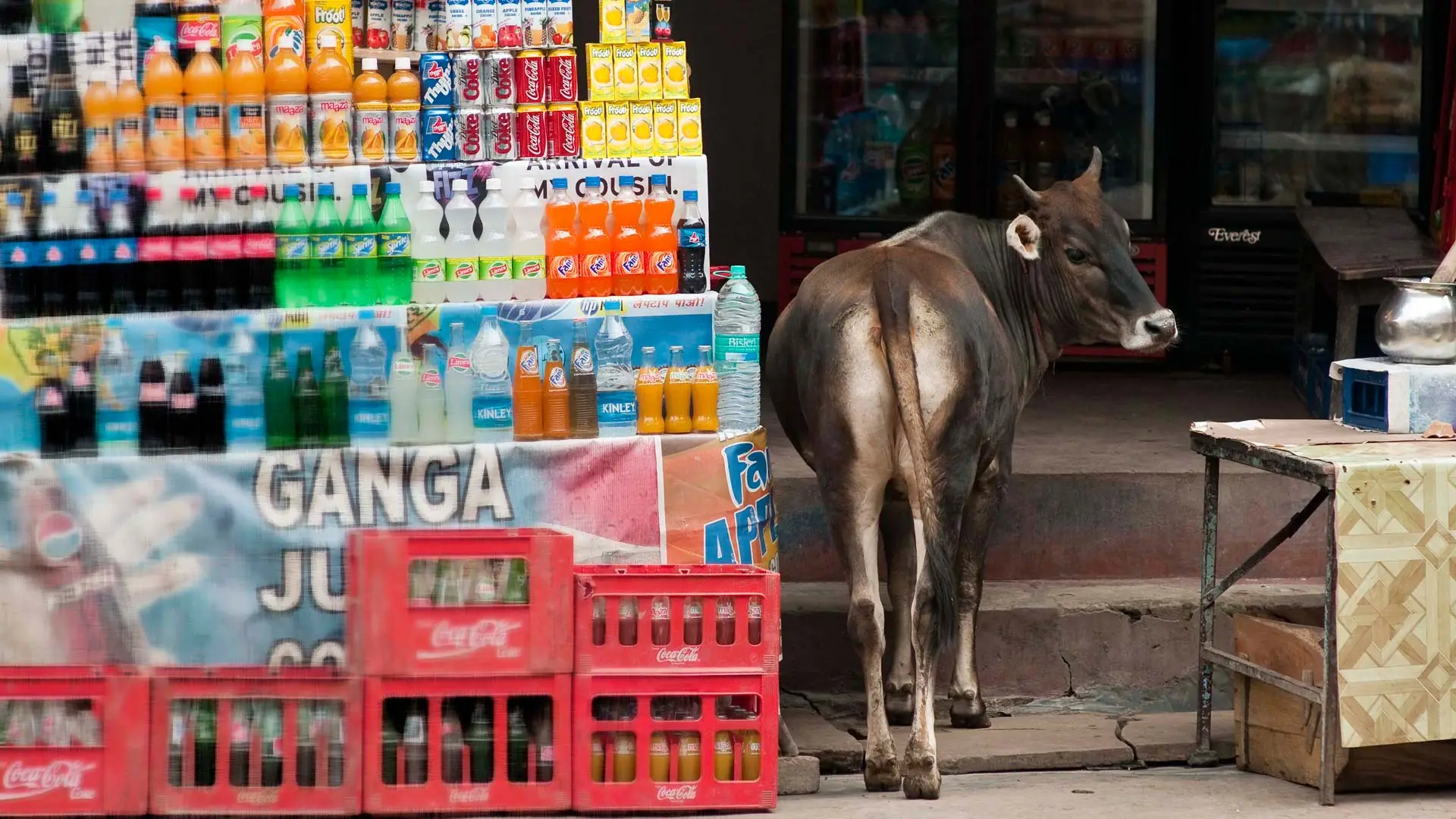 que debo tomar en cuenta si soy turista en India