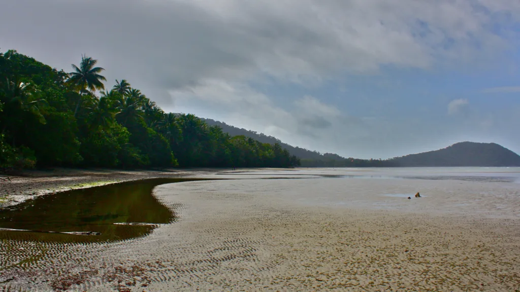 Daintree y Cape Tribulation — Australia Fly & Drive