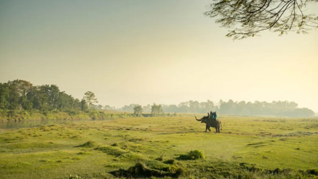 P.N. Chitwan — Gran Tour de Nepal y Bután