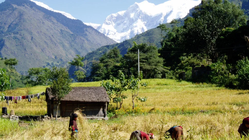 Trek Dhampus — Nepal Cultural y Trekking
