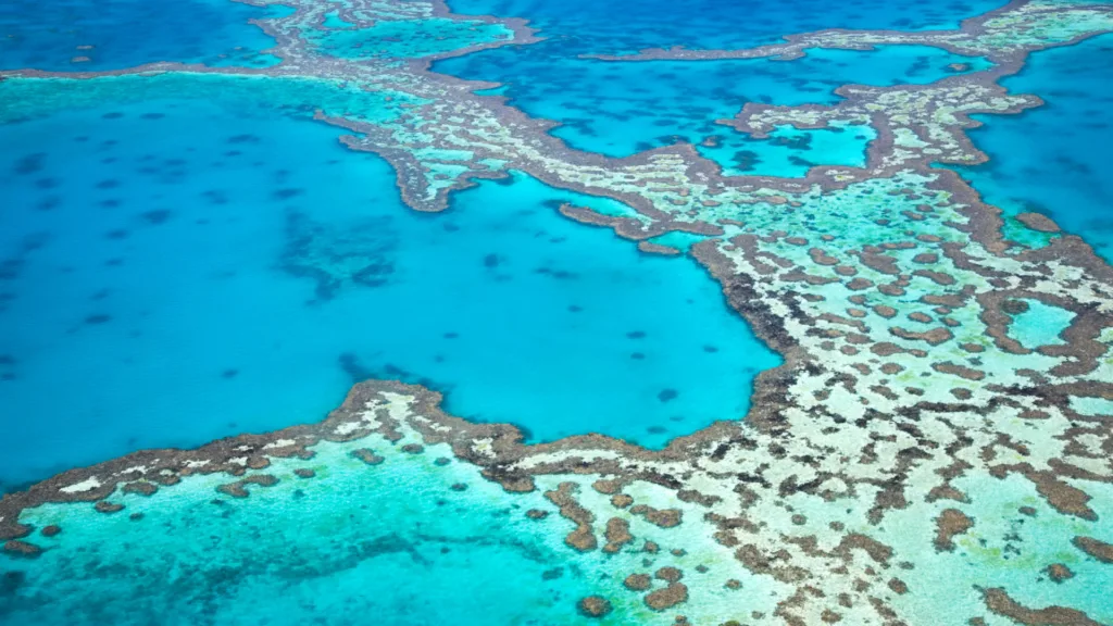 Gran Barrera de Corals — Gran Tour de Australia