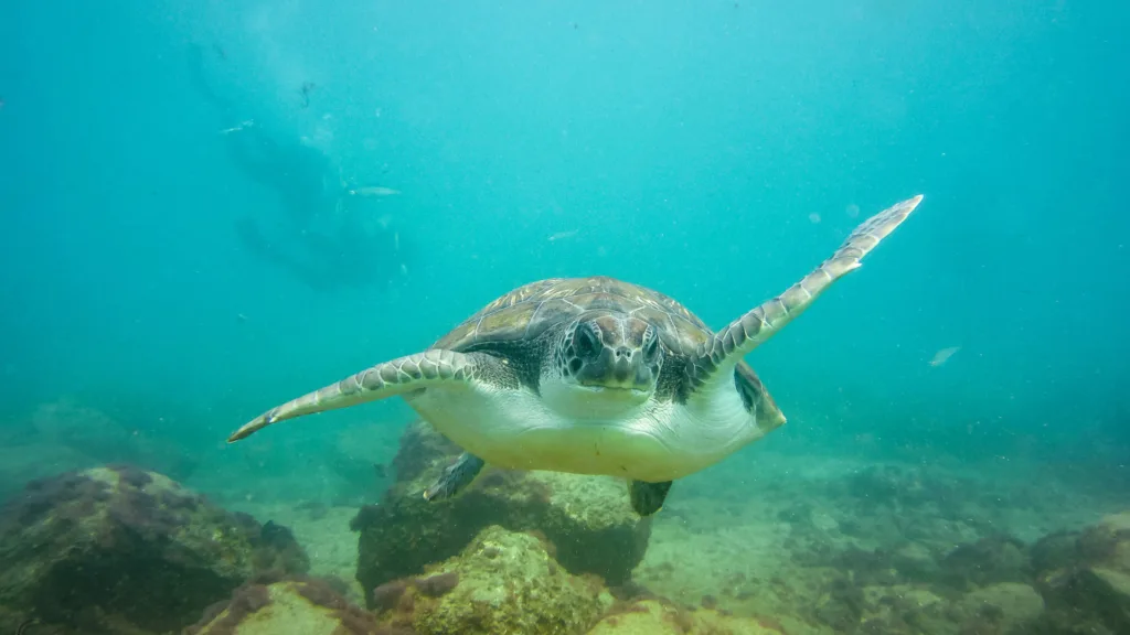 Playa de Hikkaduwa — Explore Sri Lanka con playas Suroeste