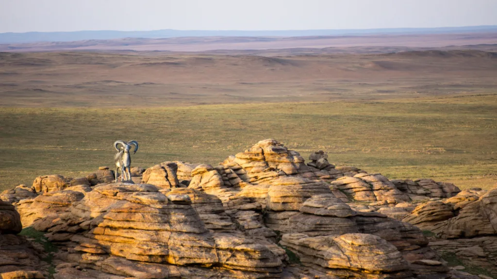 Baga Gazriin Chuluu — Mongolia: Explorar la Tierra Misteriosa