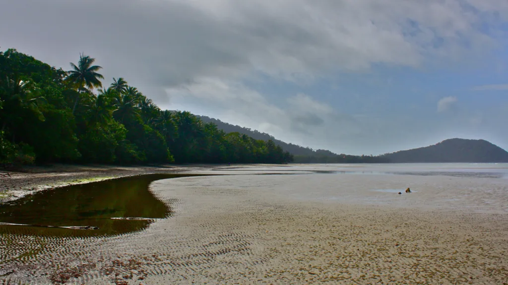 Daintree y Cape Tribulation — Gran Tour de Australia