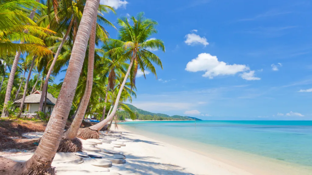 KOH SAMUI — Japón Eterno y Koh Samui