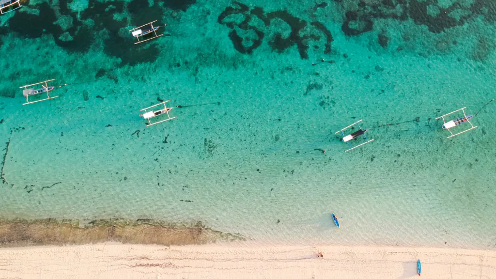 LABUAN BAJO – SUR DE BALI — Indonesia Salvaje