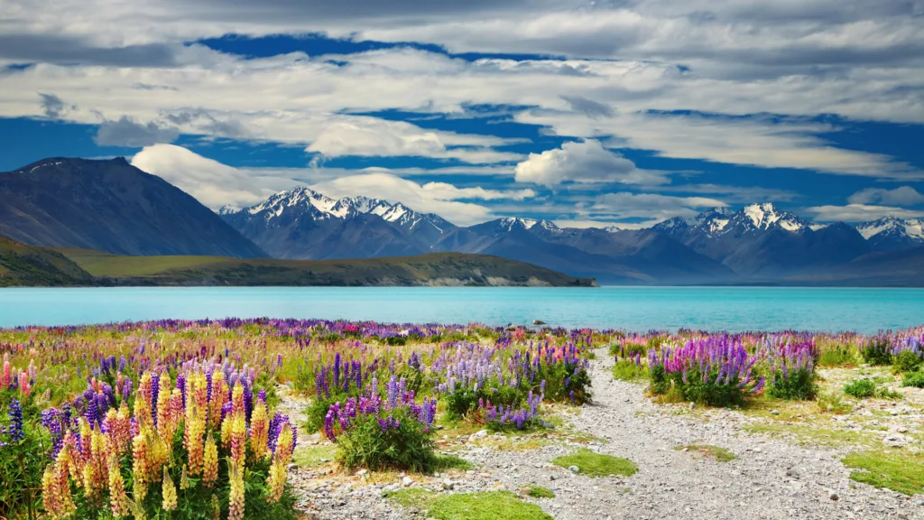 Lago Tekapo — Wallabies y Kiwis