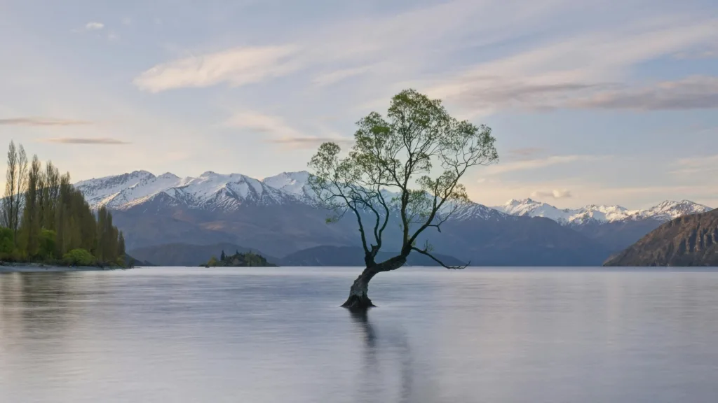 Wanaka — La Tierra Media