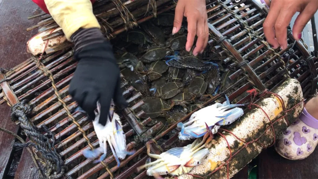 Mercado del cangrejo, Kep — Gran Tour de Camboya