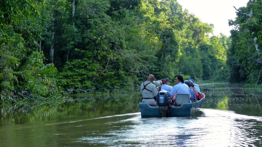Navegación por el río Kinabatangan — Malasia al Completo