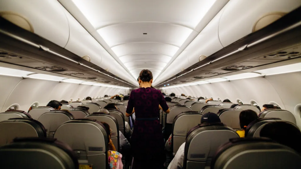 Abordo del vuelo — Nueva Zelanda Isla Norte Fly & Drive