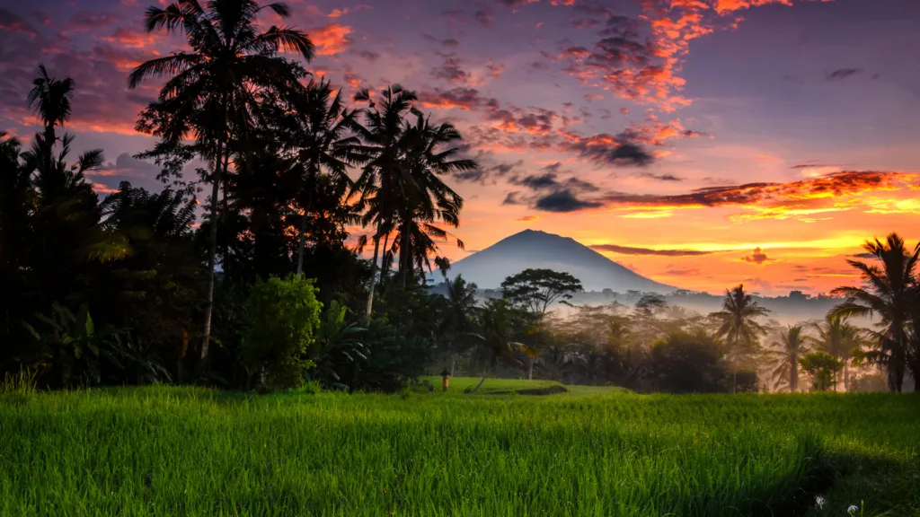 Ubud — Luna de Miel en Indonesia