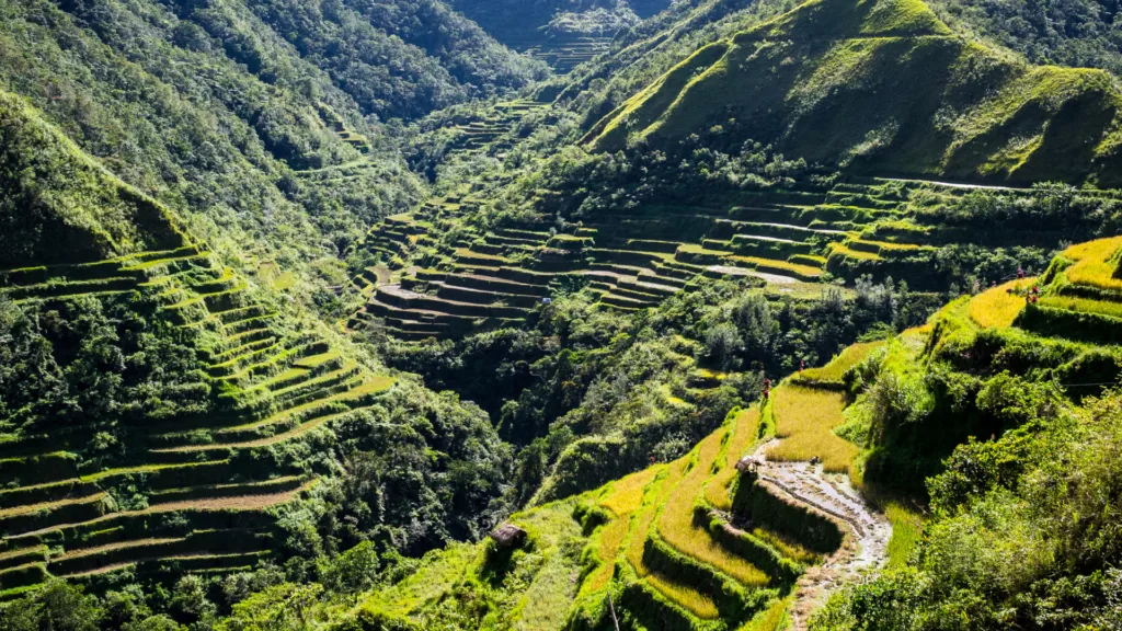 Banaue — Top Filipinas