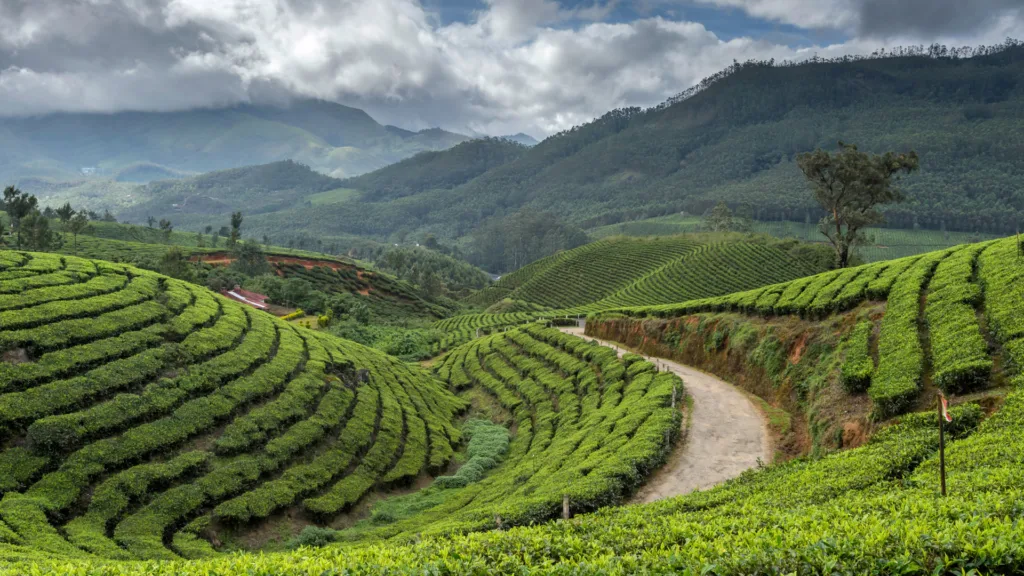 Darjeeling — Fascinante Sikkim y Bután