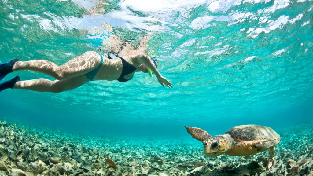 Eco Snorkeling, Tahití — Polinesia Auténtica