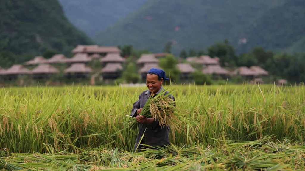 HANOI – MAI CHAU – PU LUONG — Norte y Centro de Vietnam