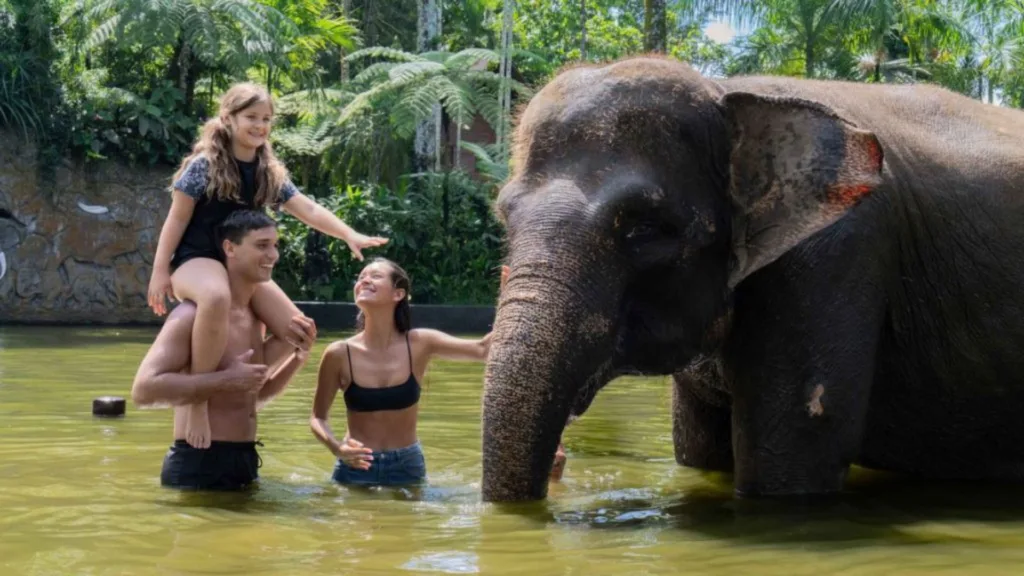 Mason Elephant Park, Ubud — Bali en Familia