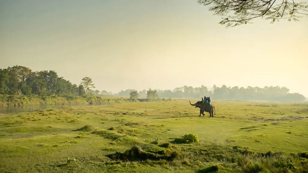 P.N. CHITWAN — Nepal Clásico