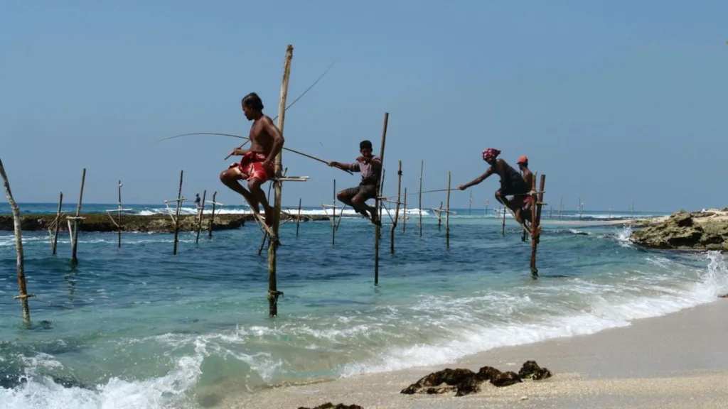 pescadores zancudos, Welligama — Luna de Miel en Sri Lanka