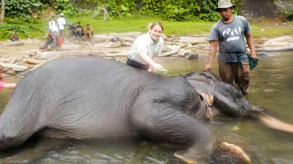 TANGKAHAN – BUKIT LAWANG — Gran Tour de Indonesia