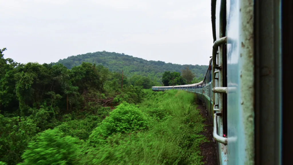 Tren, Madhya Pradesh — India Parques Naturales