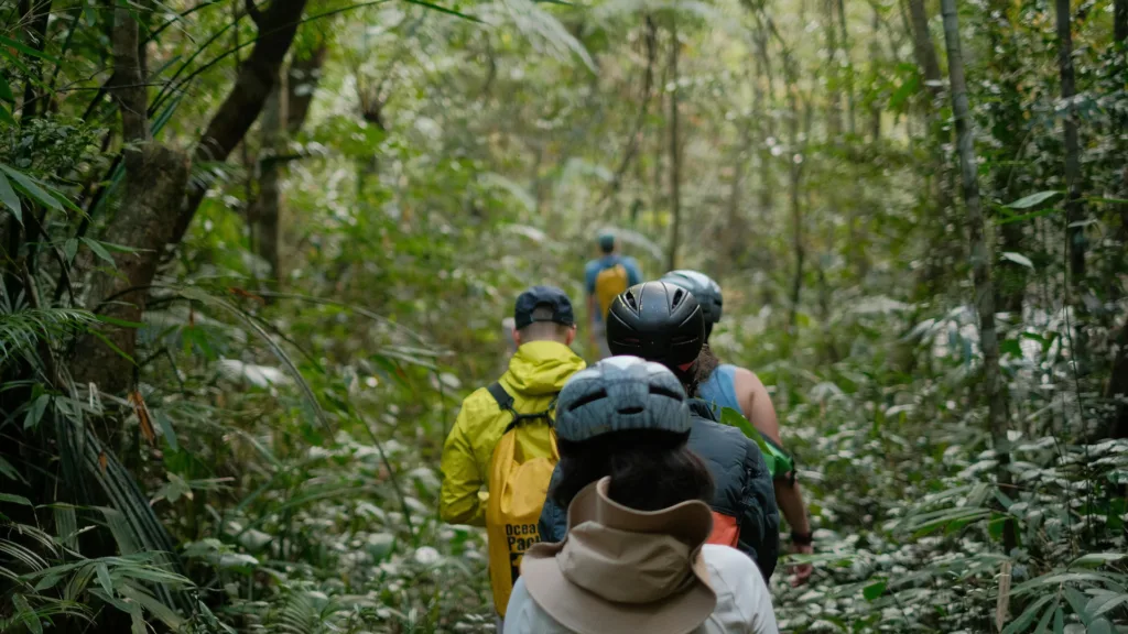 BUKIT LAWANG — Gran Tour de Indonesia