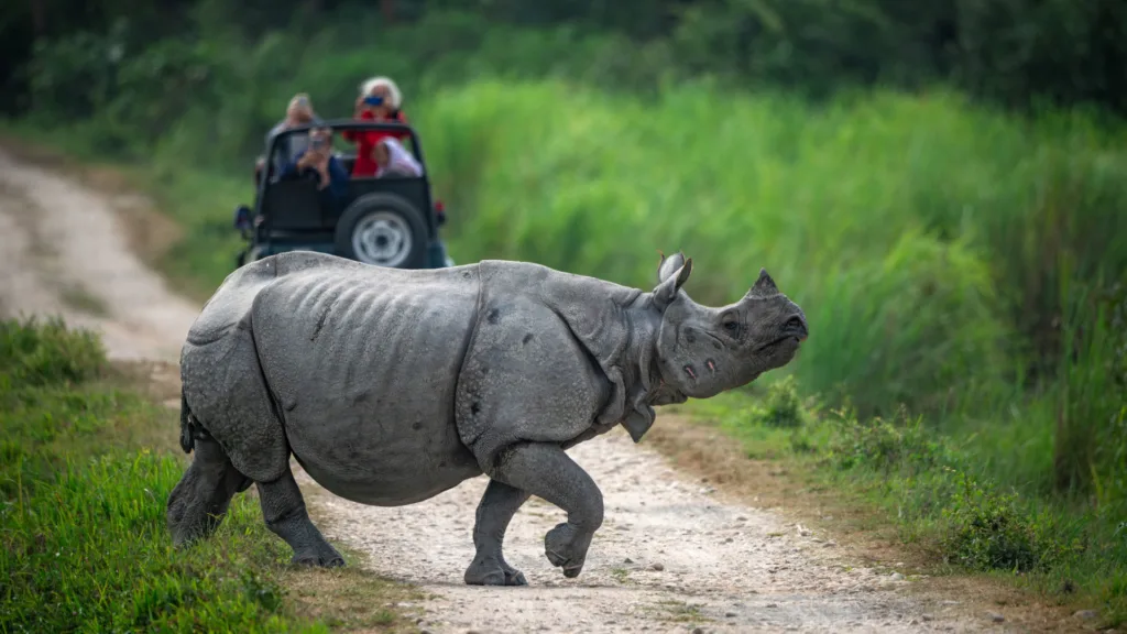 Parque Nacional de Kaziranga — Assam: Crucero por el Brahmaputra