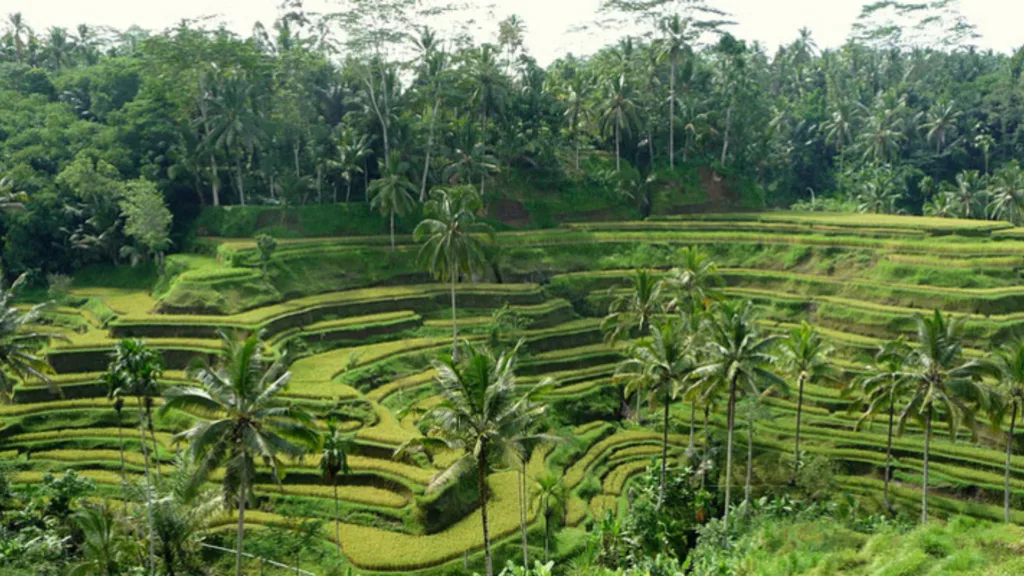 CANDIDASA – TIRTA GANGGA – SUR DE BALI — Bali Circuito Interior