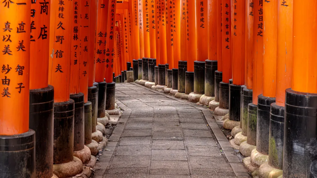 KYOTO — Japón y China Express