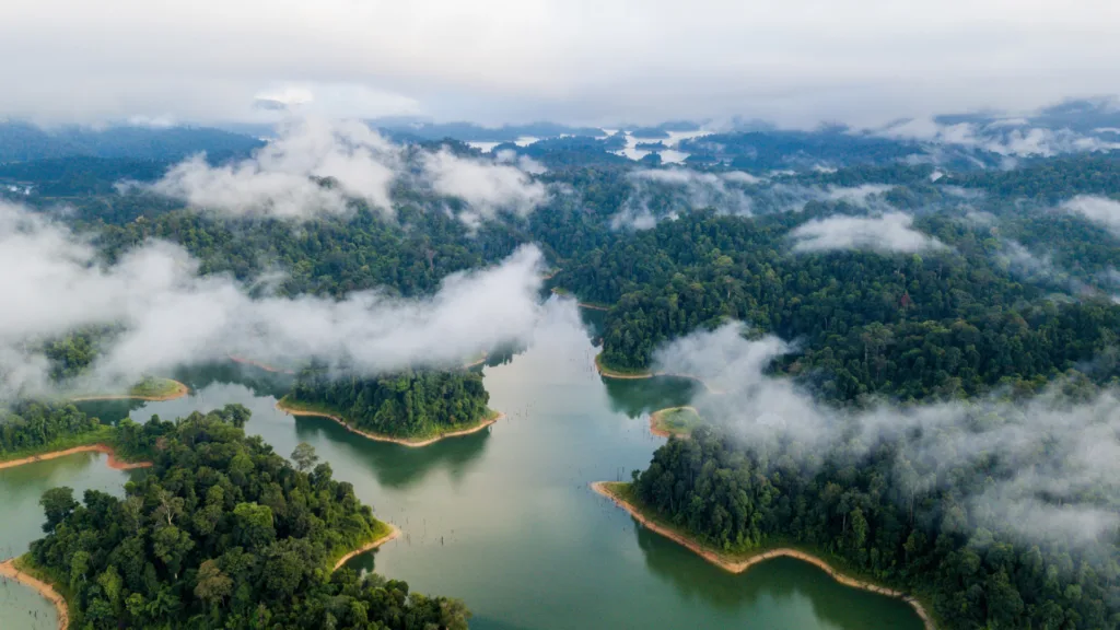 Parque Estatal Royal Belum, Belum Rainforest — Malasia al Completo
