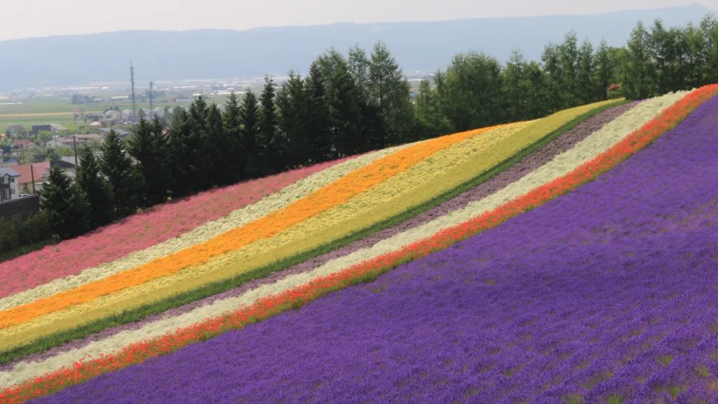 SAPPORO – BIEI – FURANO – SAPPORO — Hokkaido, la Gran Isla del Norte