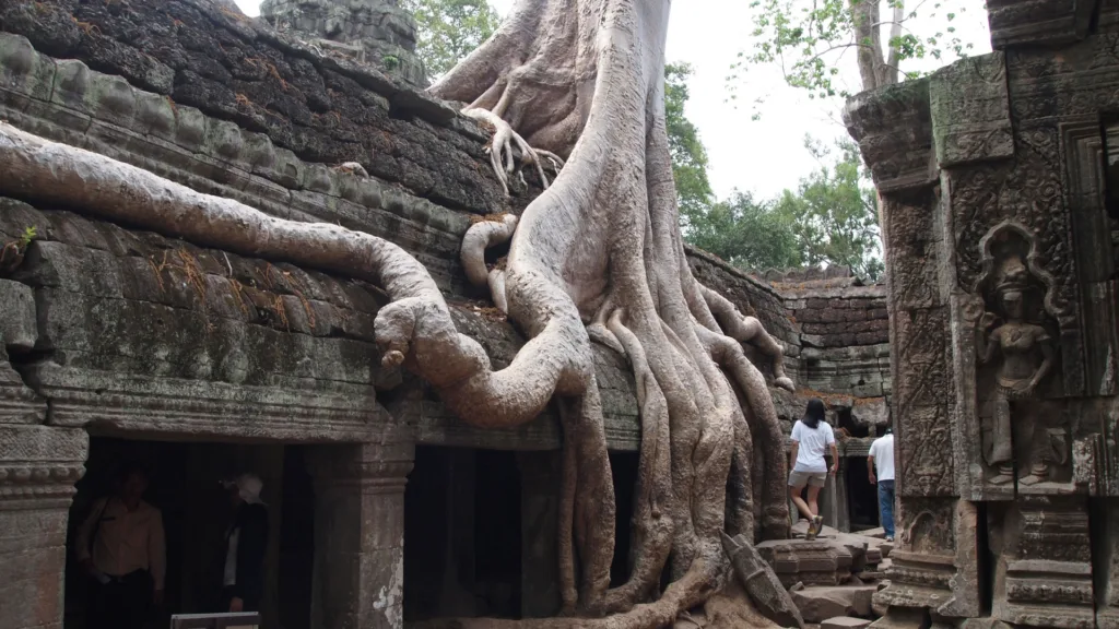 Ta Prohm, Siem Reap — Encantos de Camboya