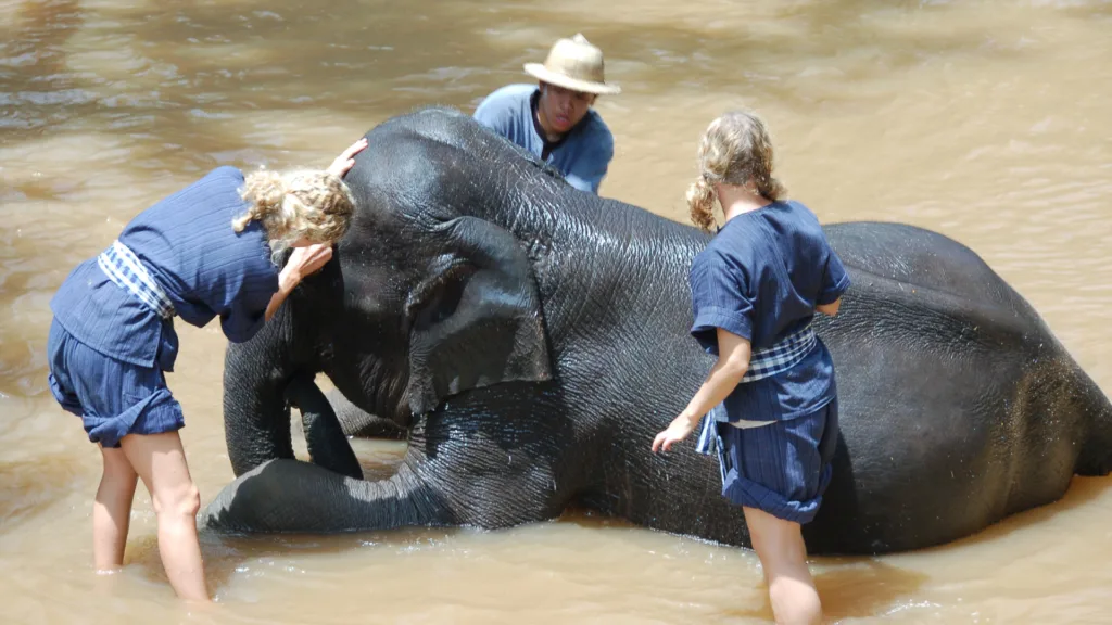 CHIANG MAI — Tailandia de Lujo